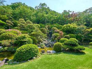 初夏の光を浴びて、緑に輝く日本庭園。