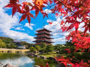 紅葉の見事な蓮華院誕生寺。