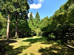 緑きらめく夏の庭園