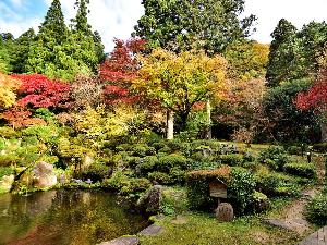 色とりどりに紅葉する秋の庭園