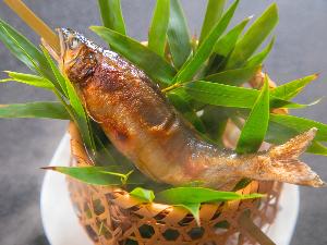 【鮎の塩焼き】 清流・錦川で育った美しい鮎。塩が程よく効いた “夏の味覚 ” をぜひ！