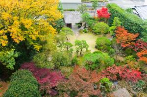 紅く色付く庭園