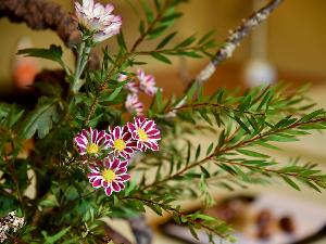 *【初秋・玄関のお花】