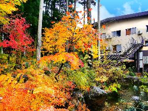 紅葉美しい庭園からのぞむ外観