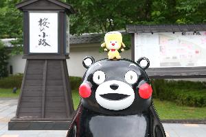 城彩苑