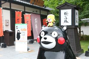 城彩苑