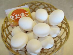 ◆朝食／生たまご：TKGいかがでしょう？(^▽^)