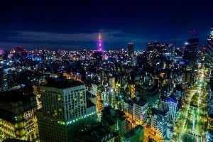 ホテルからの景観　東京タワー側