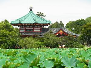 上野恩賜公園　写真提供：(公財)東京観光財団