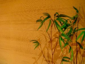 温泉をゆったりとお楽しみください