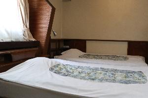 エコノミーツインの一例
