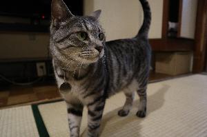 ヨドバシさん　男の子