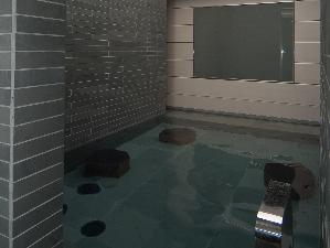 女性大浴場-露天-（湯温：41~43℃）