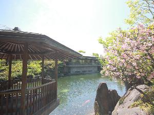 【観光】目白庭園・ホテルより徒歩約5分。日本の伝統文化を身近に感じることができる庭園です。 