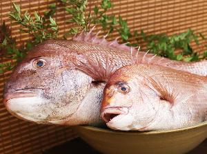 【さかな処だいだい】朝食ビュッフェ
