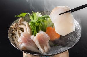【土佐の漁師鍋】コラーゲンたっぷり♪幻の高級魚本クエと龍馬ふぐの贅沢鍋をちり酢でさっぱりと味わう。