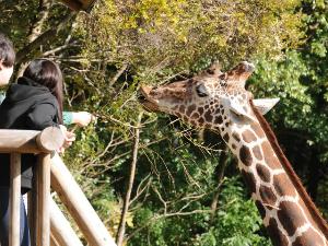 【のいち動物公園】お日にち限定で動物たちとこんなに近くで触れ合えちゃう！