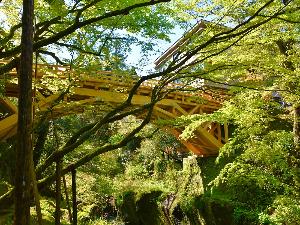 こおろぎ橋