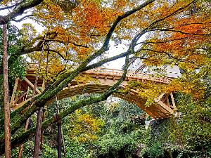 こおろぎ橋