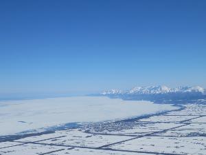 熱気球フリーフライト