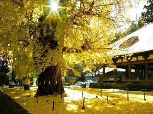 熊野神社 長床