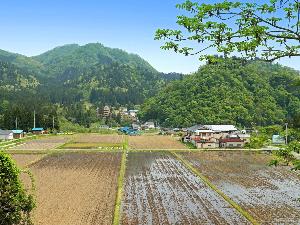 当館の周辺には安らかな里山の風景が広がります。