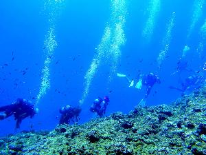 宮古島でダイビングを体験