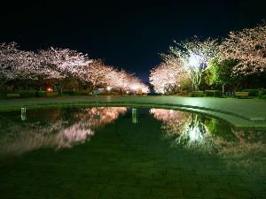 宮崎県観光協会　久峰総合公園　写真提供：宮崎県観光協会