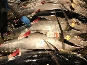 食事イメージ