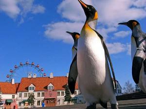 イルカショーやペンギンパレードも人気♪車で約１５分【登別マリンパークニクス】