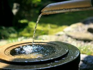 【日本庭園】力強さの中にある自然の儚さに、心が洗われます。