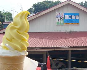 関口牧場の人気ソフトクリーム