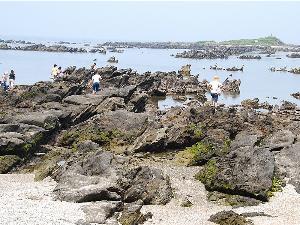 天神島自然公園では磯遊びが楽しめます