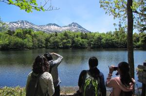 5月から7月は、ガイドツアーのみ知床五湖すべてを散策することができます。