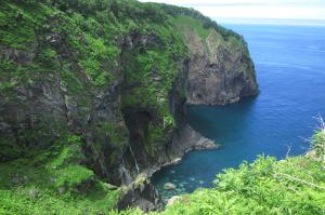 知床1日ツアーでは、人がなかなかな立ち入らないような原生林を散策し、知床の大自然を満喫します。