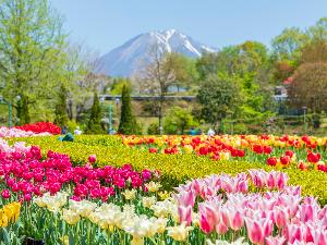 鳥取県立フラワーパーク　とっとり花回廊