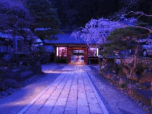 表参道