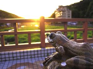 恋谷橋