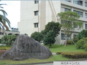宮崎大学まで車で約30分