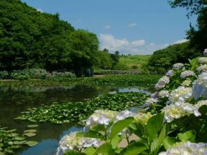 里山水生園