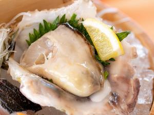 ★隠岐の島、美しい海の恵み！「ぷっりぷりの岩がき」