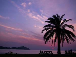 夕日に染まる浜