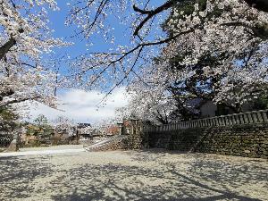 ひがし茶屋町