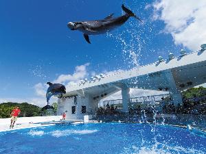 西海国立公園九十九島水族館 海きらら