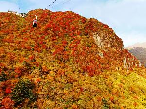 雲仙の秋は、紅葉が楽しめますよ♪