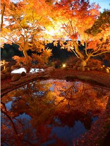 雲仙の秋は、紅葉が楽しめますよ♪　当館から車で１０分『三十路園』