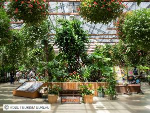神戸どうぶつ王国：花と鳥を中心に展示植物が配置された温室などで数多くの鳥が放し飼いになっています。