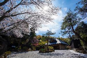 【外観】桜が迎える春の頃の日中(4月上旬~中旬)/入口近くまでお車をお寄せいただけます。