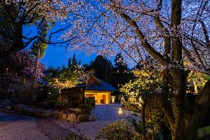 【外観】夜桜から眺めるエントランス（4月上旬～中旬）