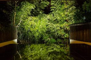 【エントランス】玄関入口のドアを抜けるエントランスには目の前に絵画のような竹林が（夜景ライトアップ）